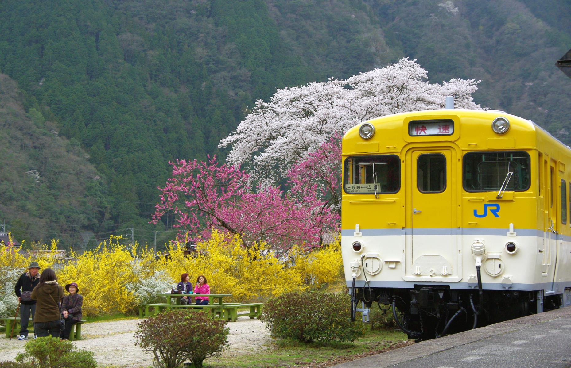 Flower Nagai Line, Yamagata Prefecture